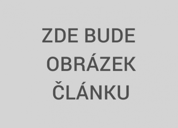 Hledám bydlení